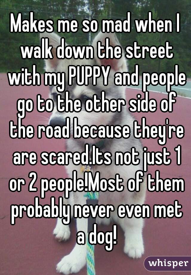 Makes me so mad when I walk down the street with my PUPPY and people go to the other side of the road because they're are scared.Its not just 1 or 2 people!Most of them probably never even met a dog!