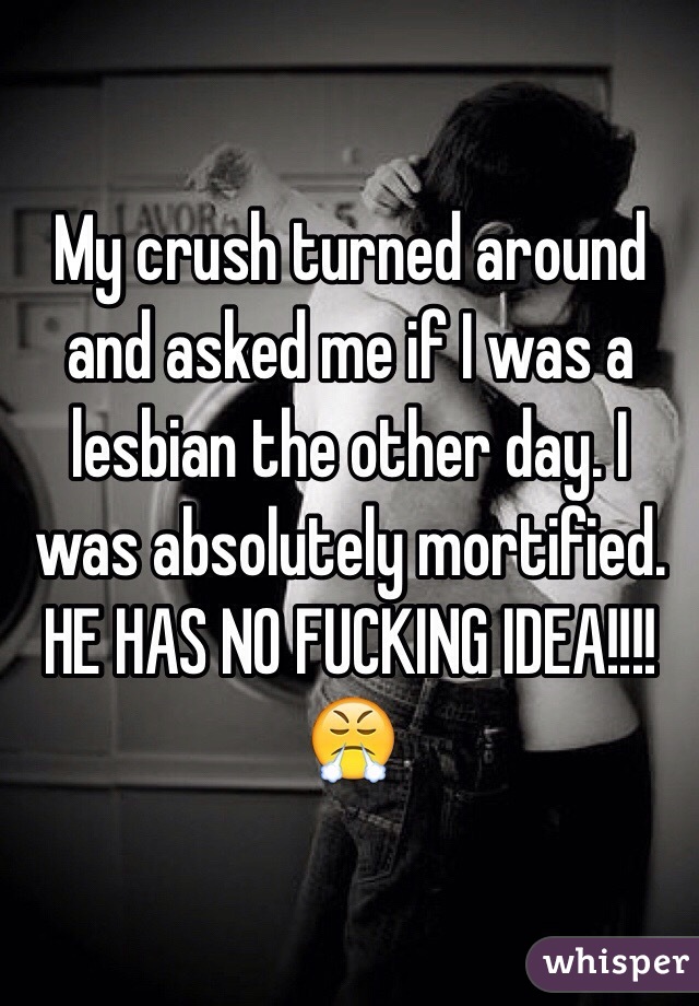 My crush turned around and asked me if I was a lesbian the other day. I was absolutely mortified. HE HAS NO FUCKING IDEA!!!! 😤 