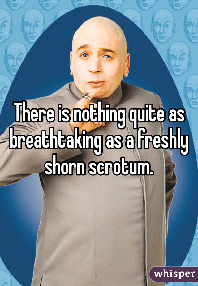 There is nothing quite as breathtaking as a freshly shorn scrotum.