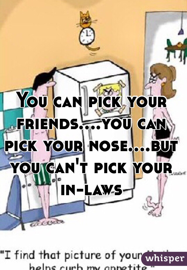 You can pick your friends....you can pick your nose....but you can't pick your in-laws 