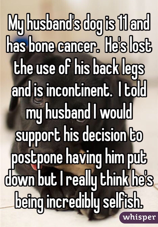 My husband's dog is 11 and has bone cancer.  He's lost the use of his back legs and is incontinent.  I told my husband I would support his decision to postpone having him put down but I really think he's being incredibly selfish.