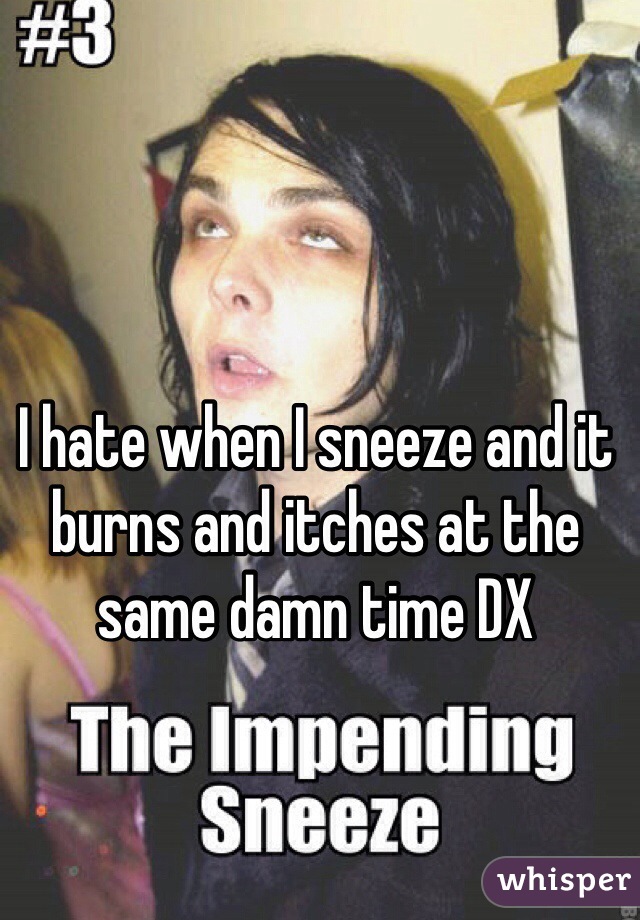 I hate when I sneeze and it burns and itches at the same damn time DX