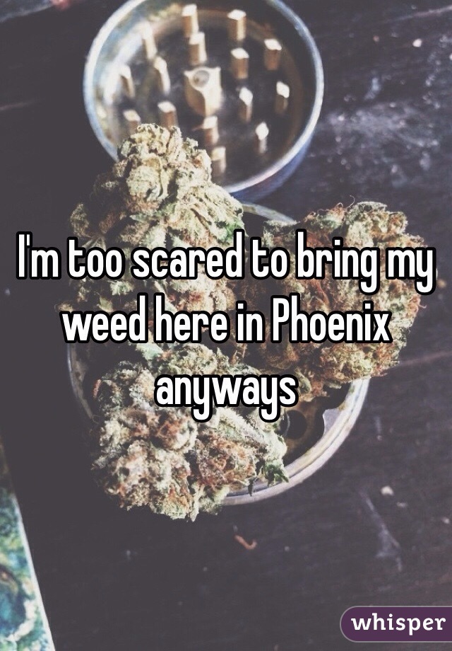 I'm too scared to bring my weed here in Phoenix anyways 
