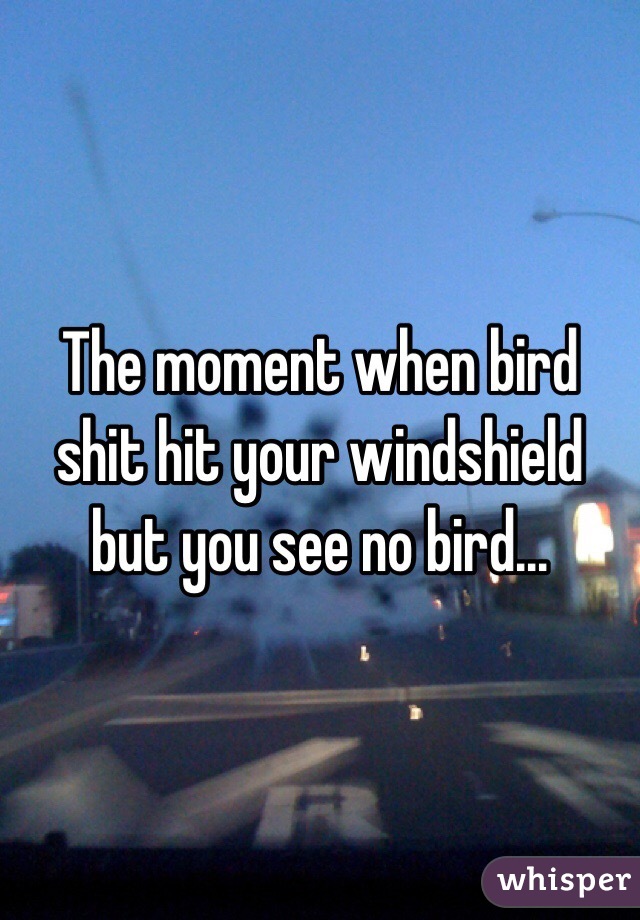 The moment when bird shit hit your windshield but you see no bird...