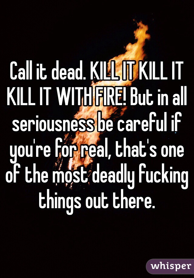 Call it dead. KILL IT KILL IT KILL IT WITH FIRE! But in all seriousness be careful if you're for real, that's one of the most deadly fucking things out there.