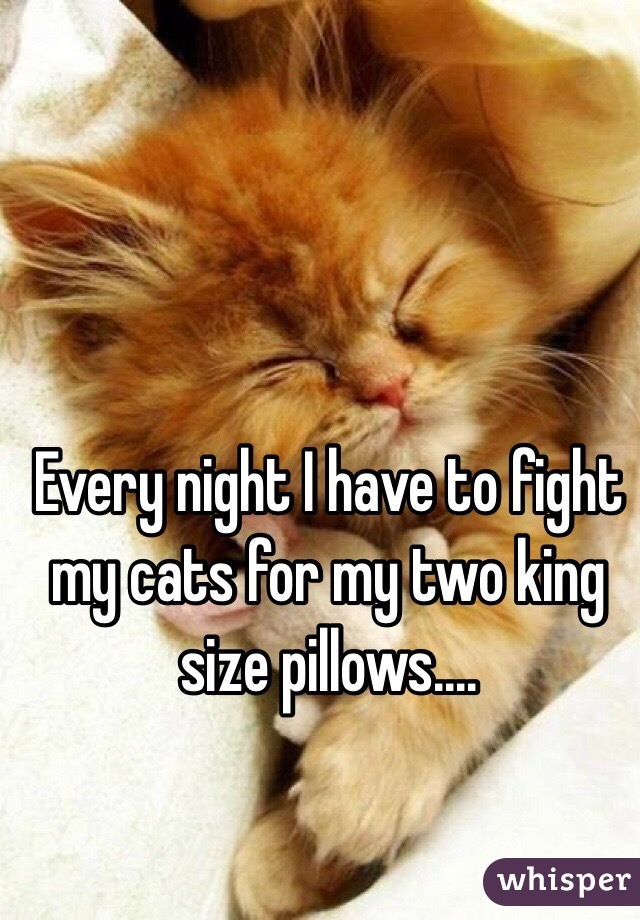 Every night I have to fight my cats for my two king size pillows....