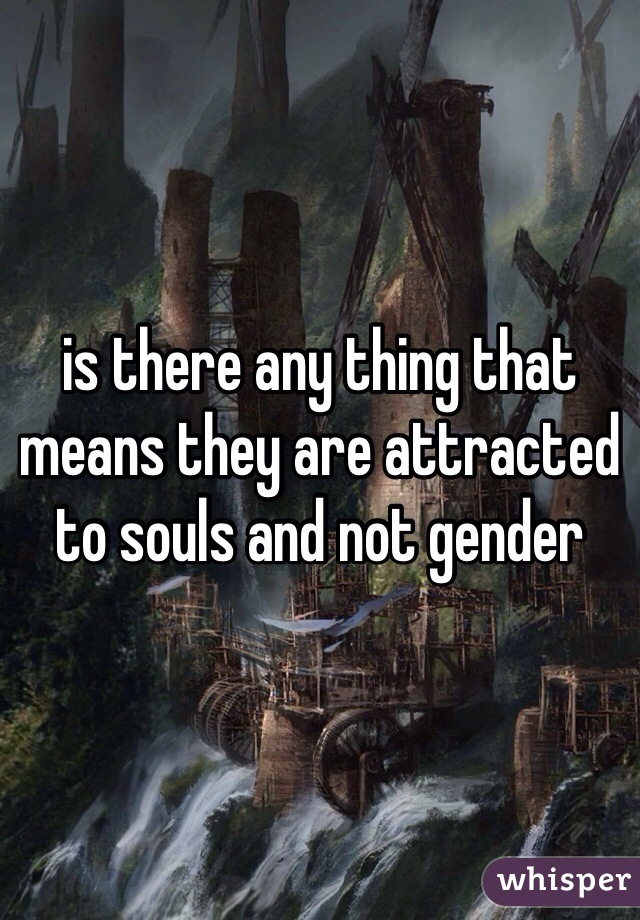 is there any thing that means they are attracted to souls and not gender 
