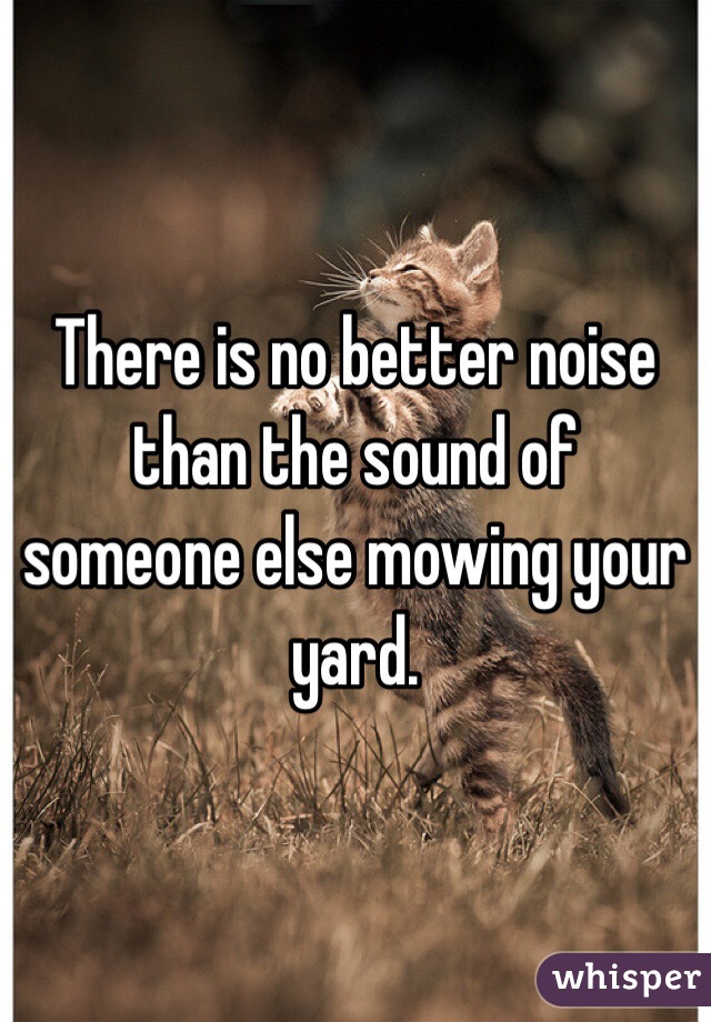 There is no better noise than the sound of someone else mowing your yard.