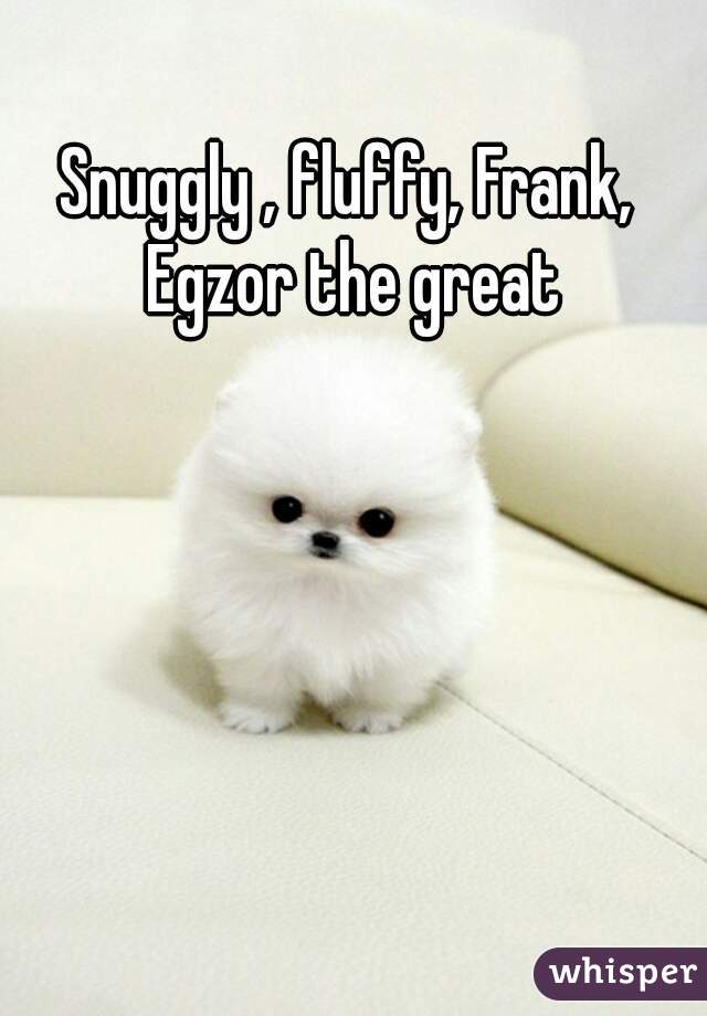 Snuggly , fluffy, Frank, Egzor the great