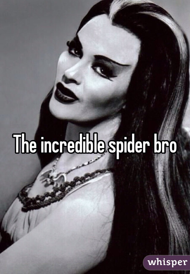 The incredible spider bro