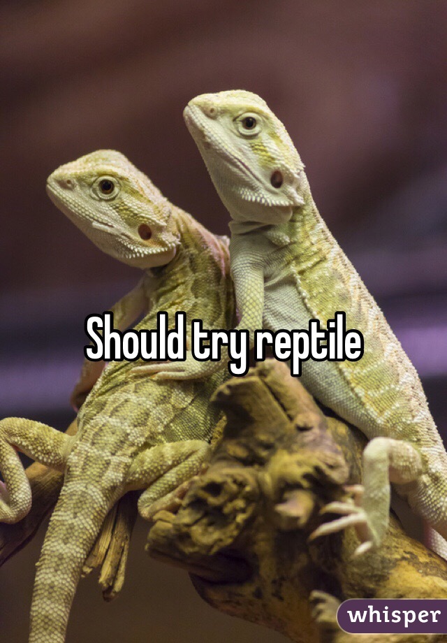 Should try reptile 