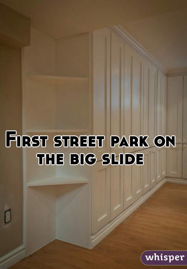 First street park on the big slide 