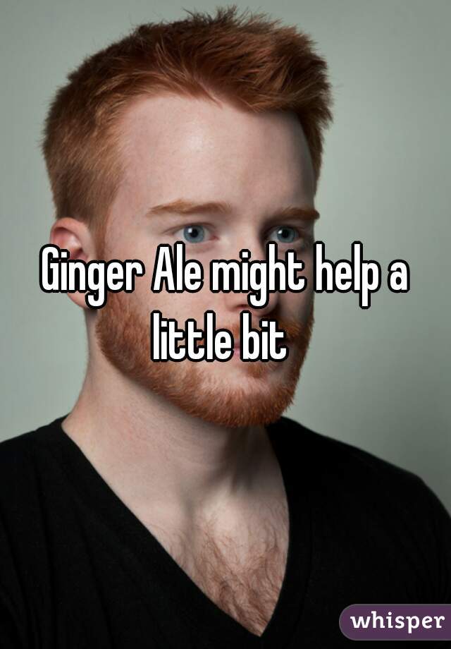 Ginger Ale might help a little bit  