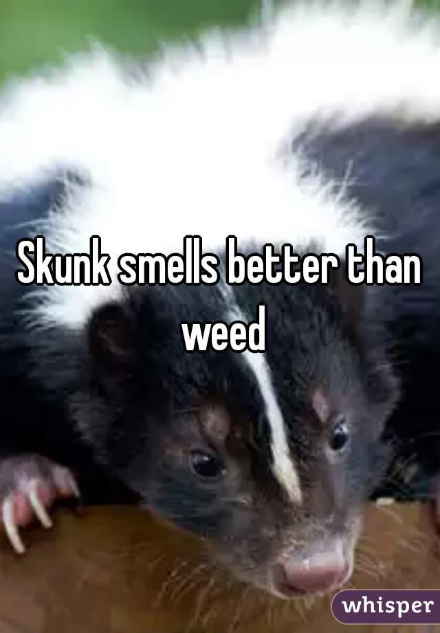 Skunk smells better than weed