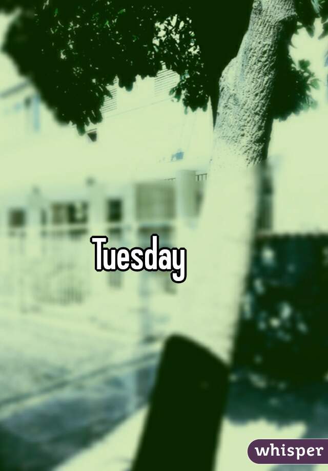 Tuesday 