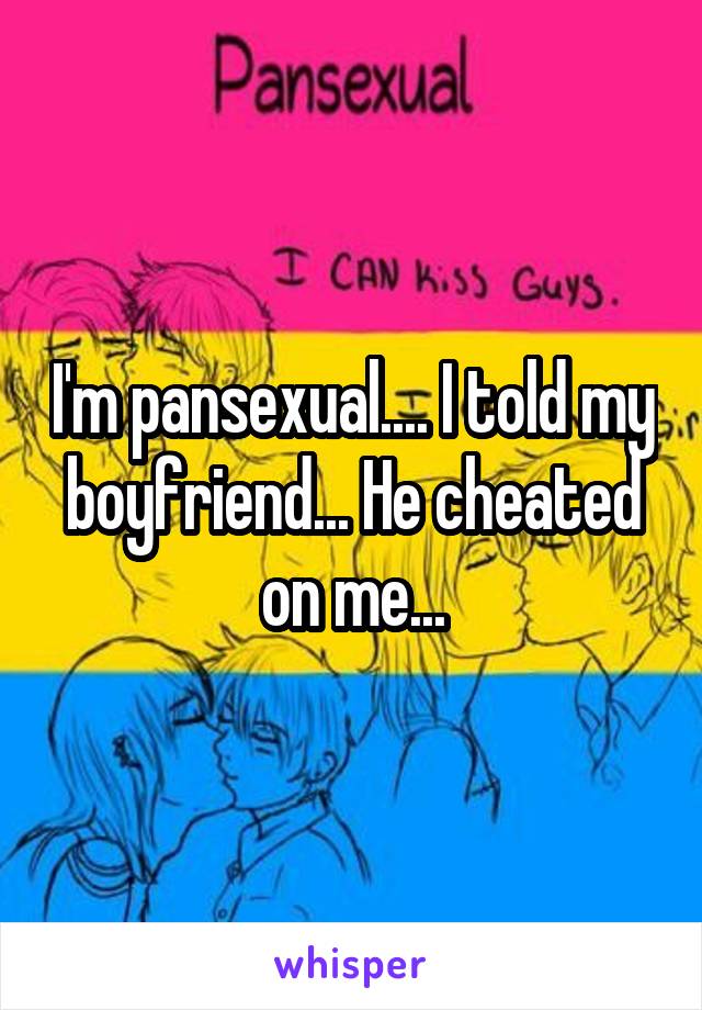 I'm pansexual.... I told my boyfriend... He cheated on me...