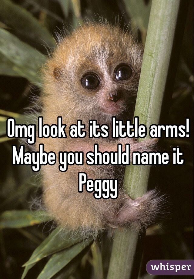 Omg look at its little arms!
Maybe you should name it Peggy 