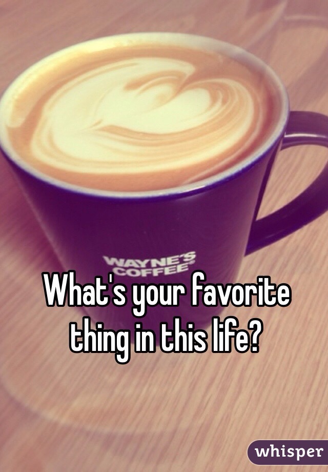 What's your favorite thing in this life?