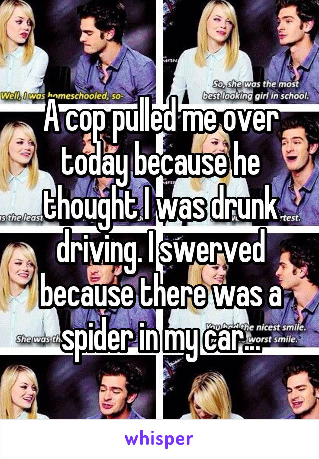 A cop pulled me over today because he thought I was drunk driving. I swerved because there was a spider in my car...