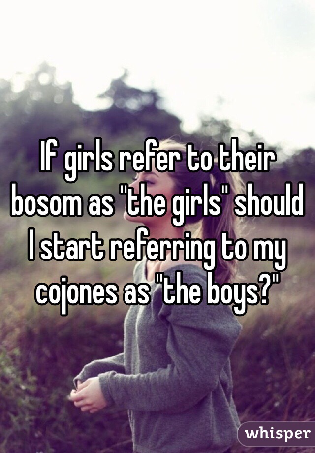 If girls refer to their bosom as "the girls" should I start referring to my cojones as "the boys?"