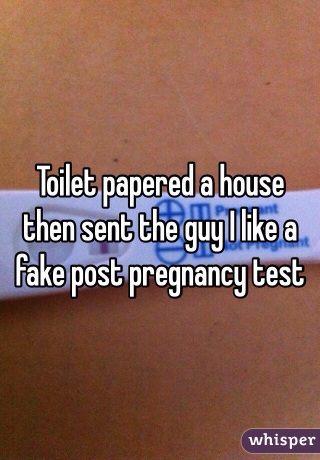 Toilet papered a house then sent the guy I like a fake post pregnancy test 