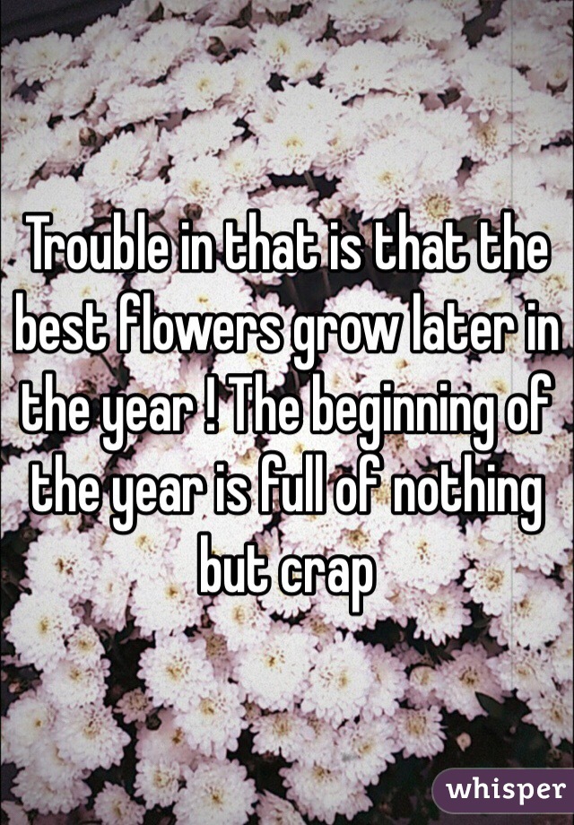 Trouble in that is that the best flowers grow later in the year ! The beginning of the year is full of nothing but crap