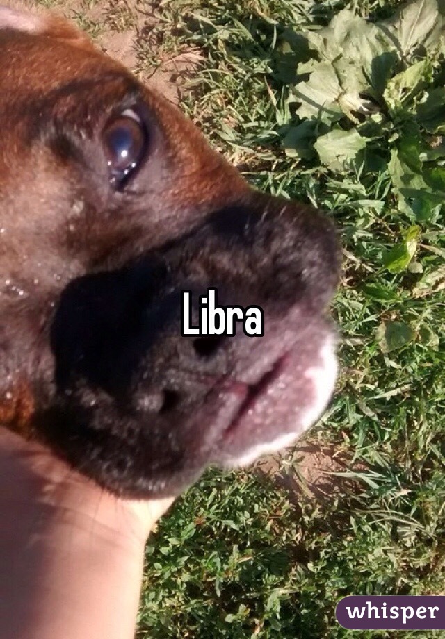 Libra 