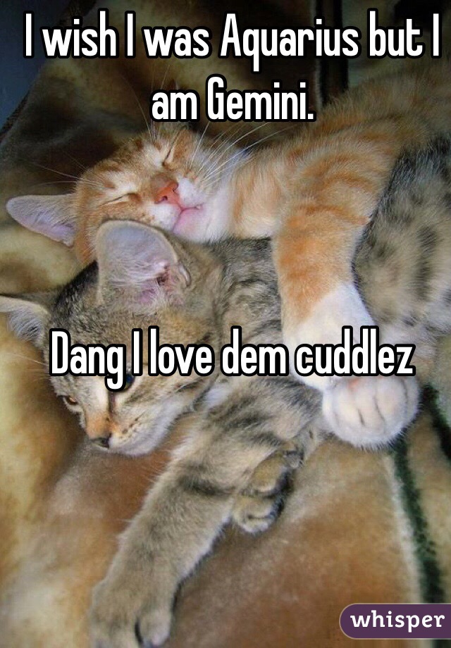 I wish I was Aquarius but I am Gemini.



Dang I love dem cuddlez 