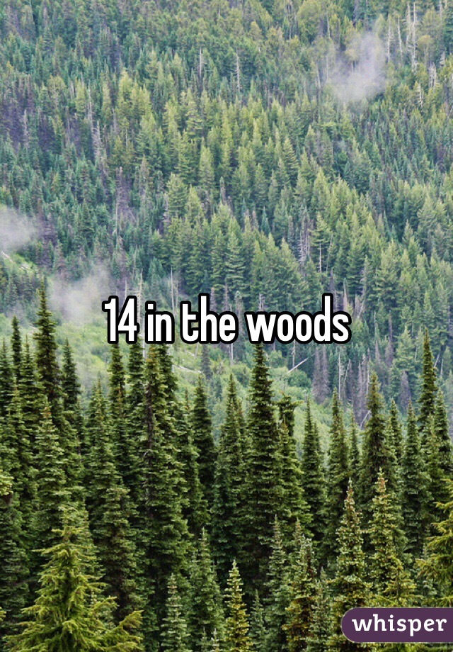 14 in the woods 