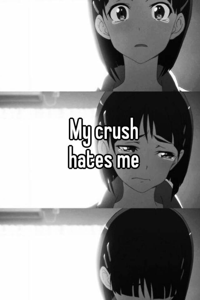 my-crush-hates-me