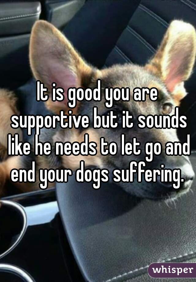 It is good you are supportive but it sounds like he needs to let go and end your dogs suffering. 