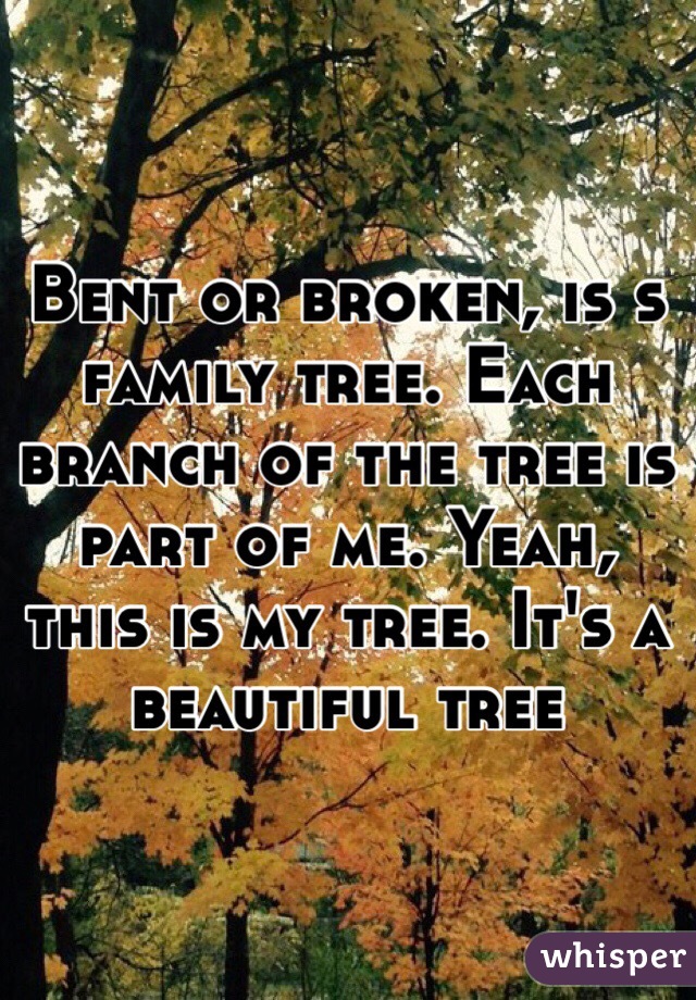 Bent or broken, is s family tree. Each branch of the tree is part of me. Yeah, this is my tree. It's a beautiful tree 