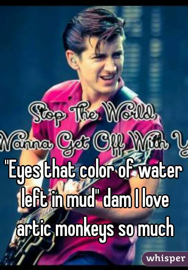 "Eyes that color of water left in mud" dam I love artic monkeys so much