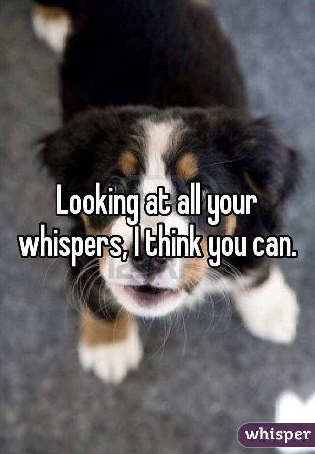 Looking at all your whispers, I think you can. 
