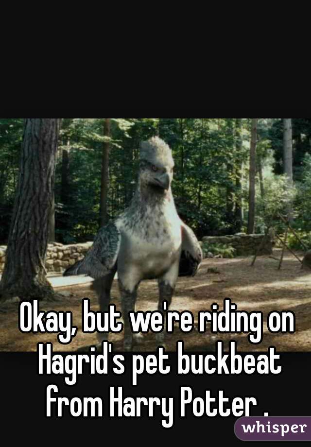 Okay, but we're riding on Hagrid's pet buckbeat from Harry Potter . 