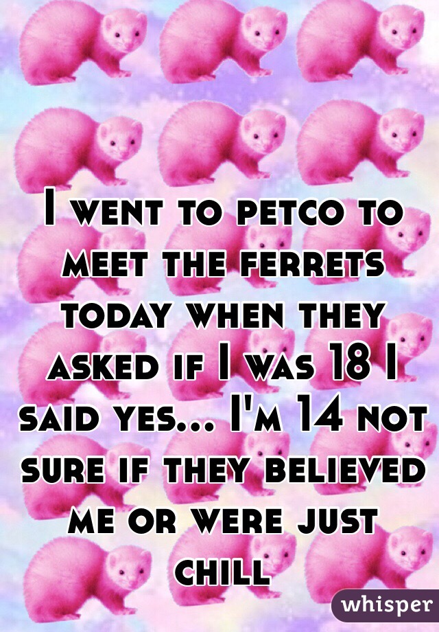 I went to petco to meet the ferrets today when they asked if I was 18 I said yes... I'm 14 not sure if they believed me or were just chill 