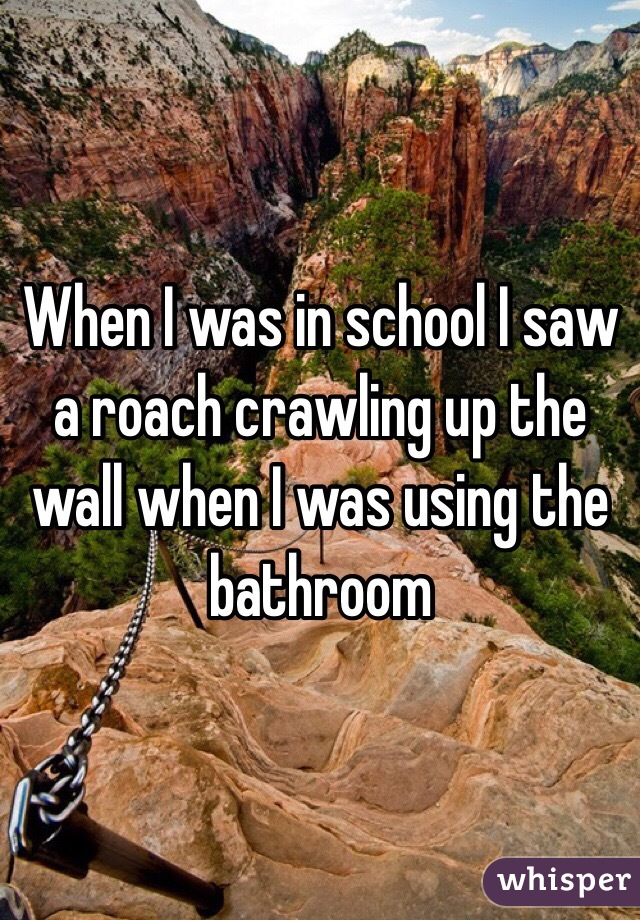 When I was in school I saw a roach crawling up the wall when I was using the bathroom 