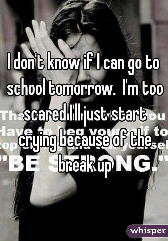 I don't know if I can go to school tomorrow.  I'm too scared I'll just start crying because of the break up