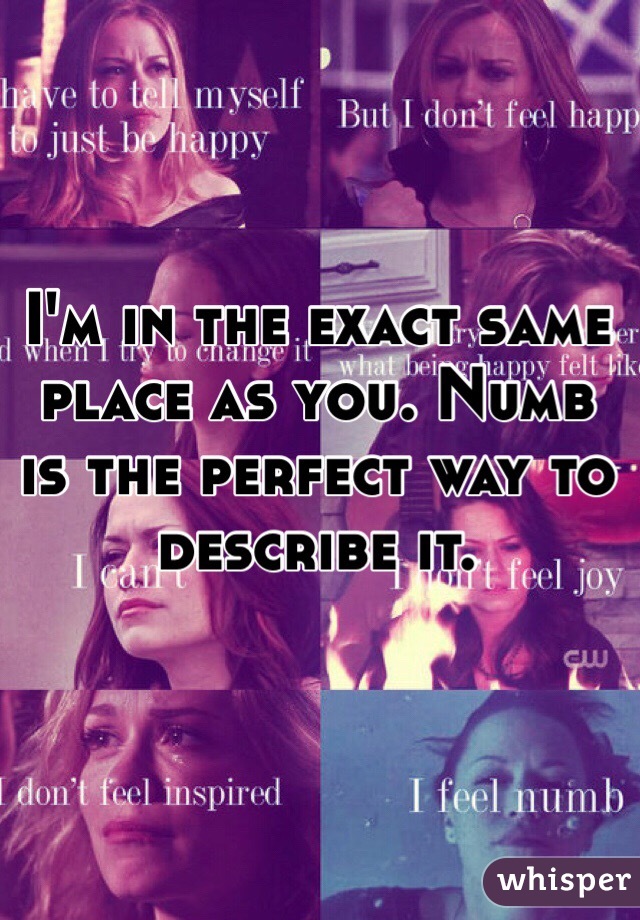 I'm in the exact same place as you. Numb is the perfect way to describe it.