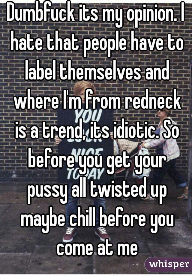 Dumbfuck its my opinion. I hate that people have to label themselves and where I'm from redneck is a trend, its idiotic. So before you get your pussy all twisted up maybe chill before you come at me