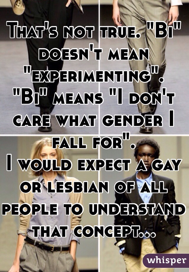 That's not true. "Bi" doesn't mean "experimenting".
"Bi" means "I don't care what gender I fall for". 
I would expect a gay or lesbian of all people to understand that concept...