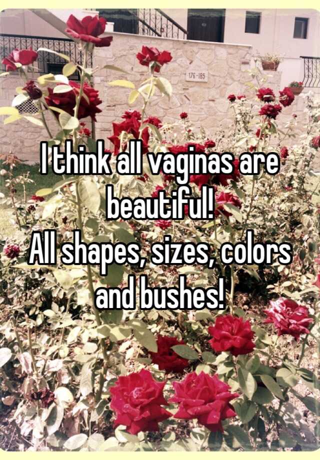 I Think All Vaginas Are Beautiful All Shapes Sizes Colors And Bushes