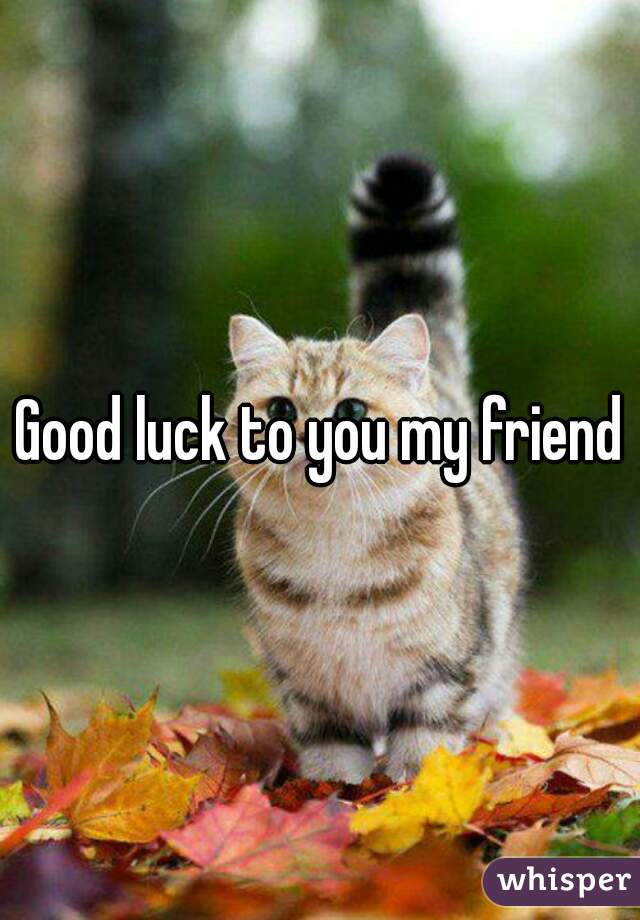 Good luck to you my friend