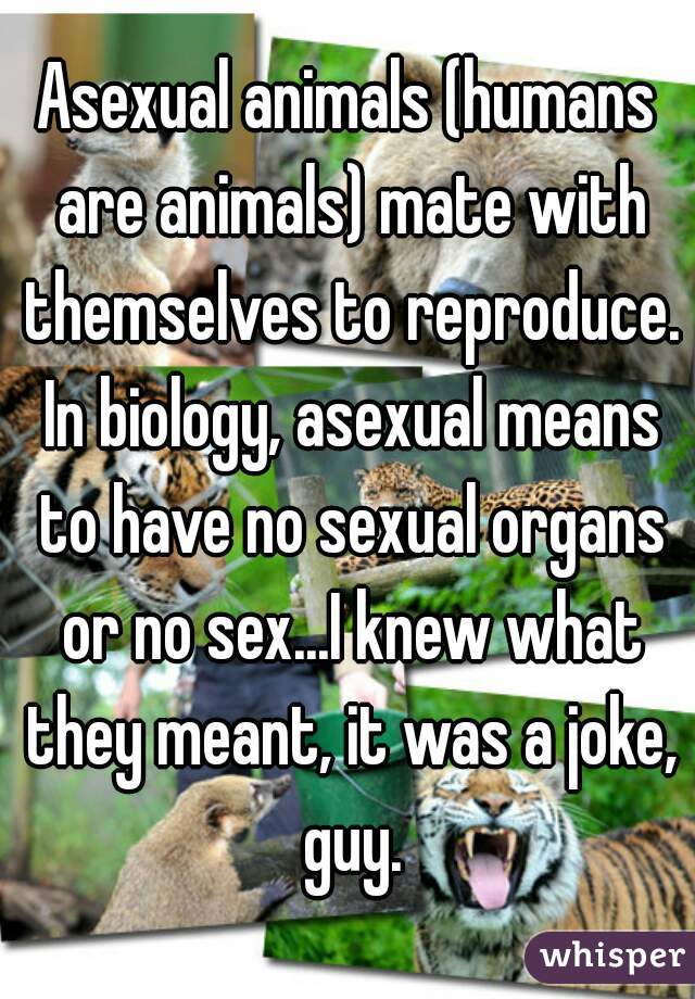 Asexual animals (humans are animals) mate with themselves to reproduce. In biology, asexual means to have no sexual organs or no sex...I knew what they meant, it was a joke, guy.