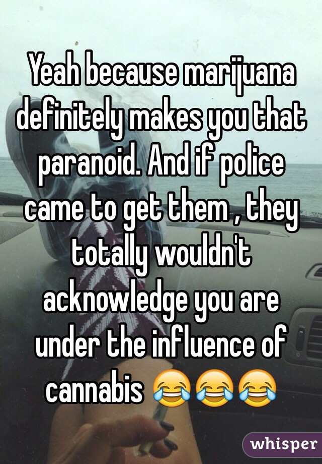 Yeah because marijuana definitely makes you that paranoid. And if police came to get them , they totally wouldn't acknowledge you are under the influence of cannabis 😂😂😂