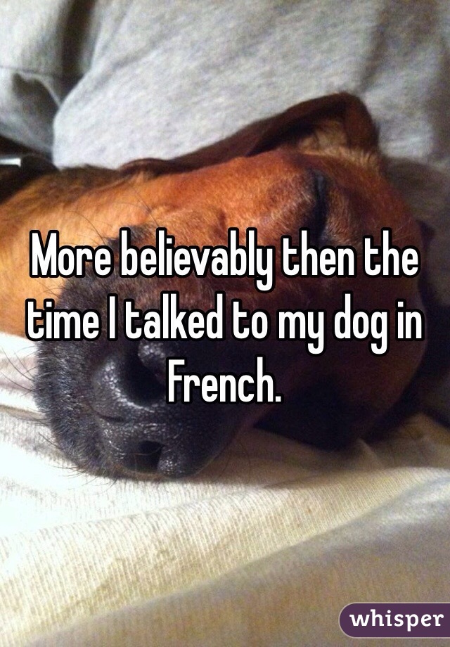 More believably then the time I talked to my dog in French. 