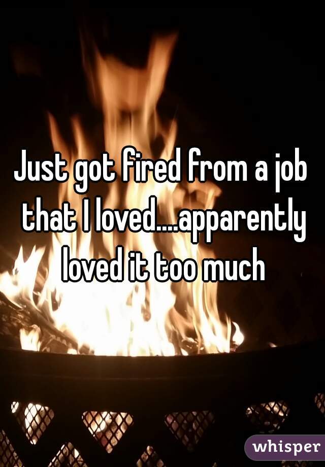 Just got fired from a job that I loved....apparently loved it too much