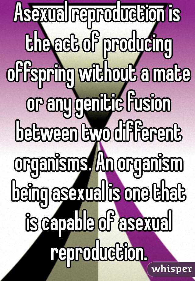 Asexual reproduction is the act of producing offspring without a mate or any genitic fusion between two different organisms. An organism being asexual is one that is capable of asexual reproduction.