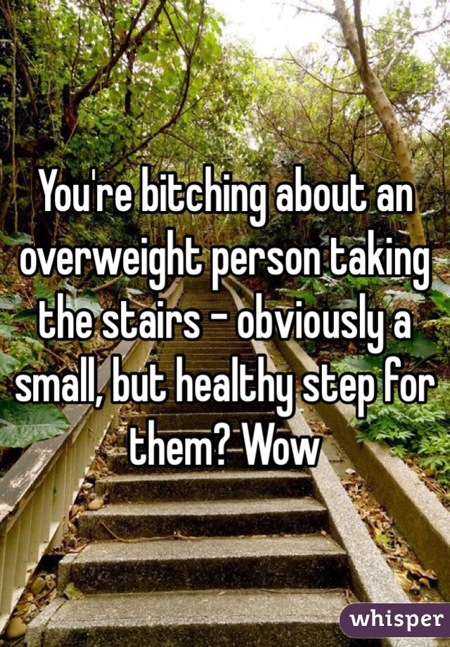 You're bitching about an overweight person taking the stairs - obviously a small, but healthy step for them? Wow