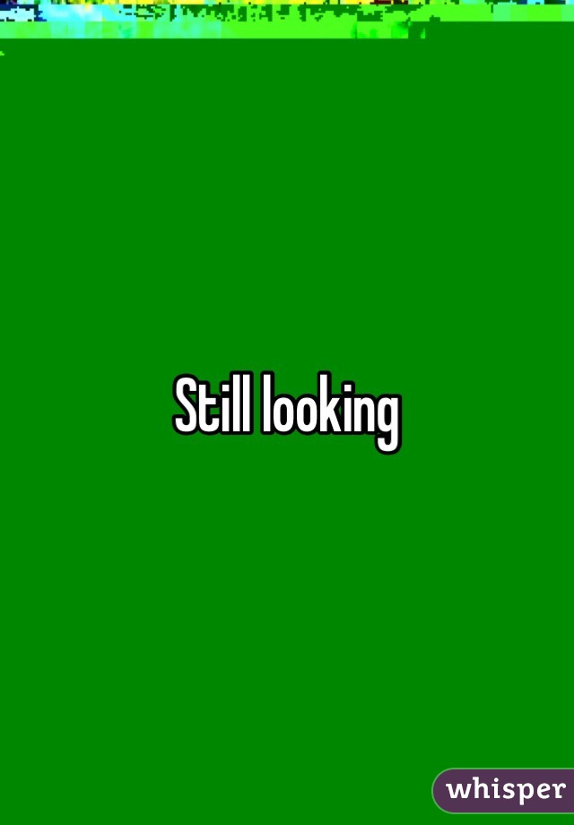 Still looking 